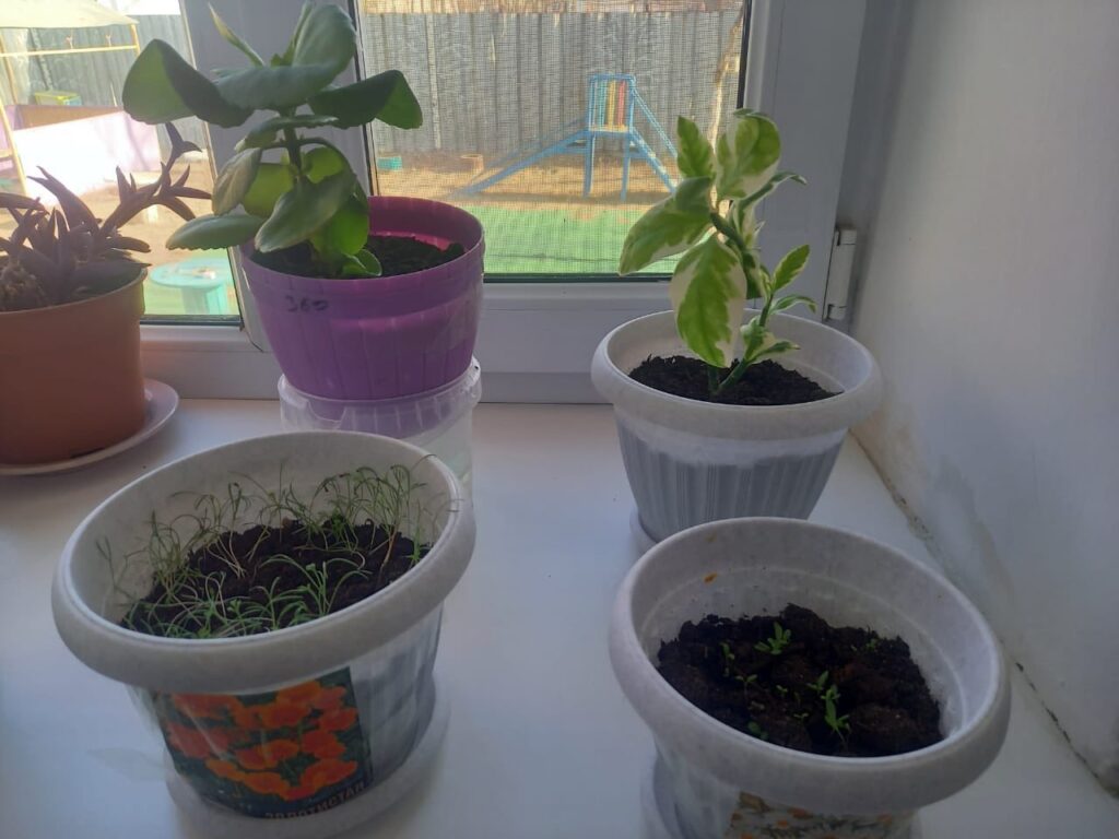 «Айгөлек» бөбекжайы» КМҚК Жаңалықтары